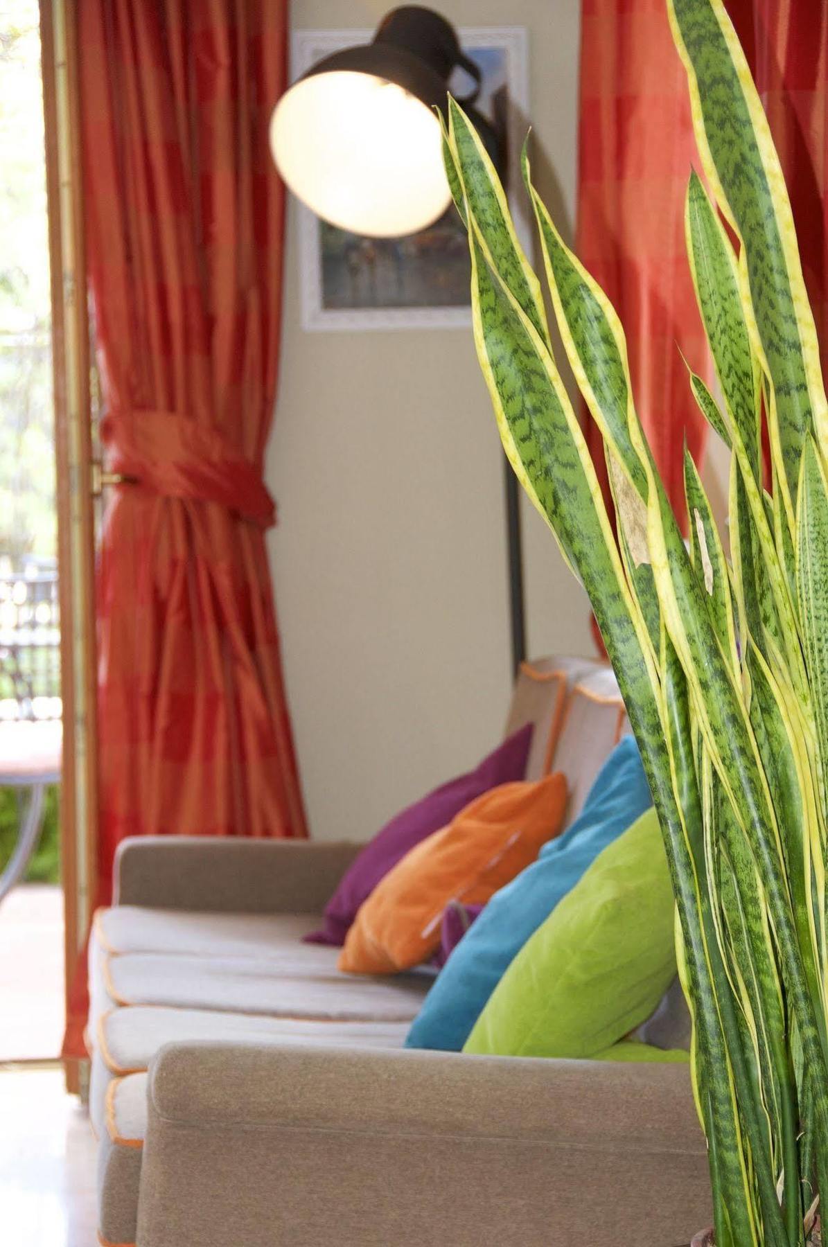 Hotel Tirrenia Sorrento Eksteriør bilde